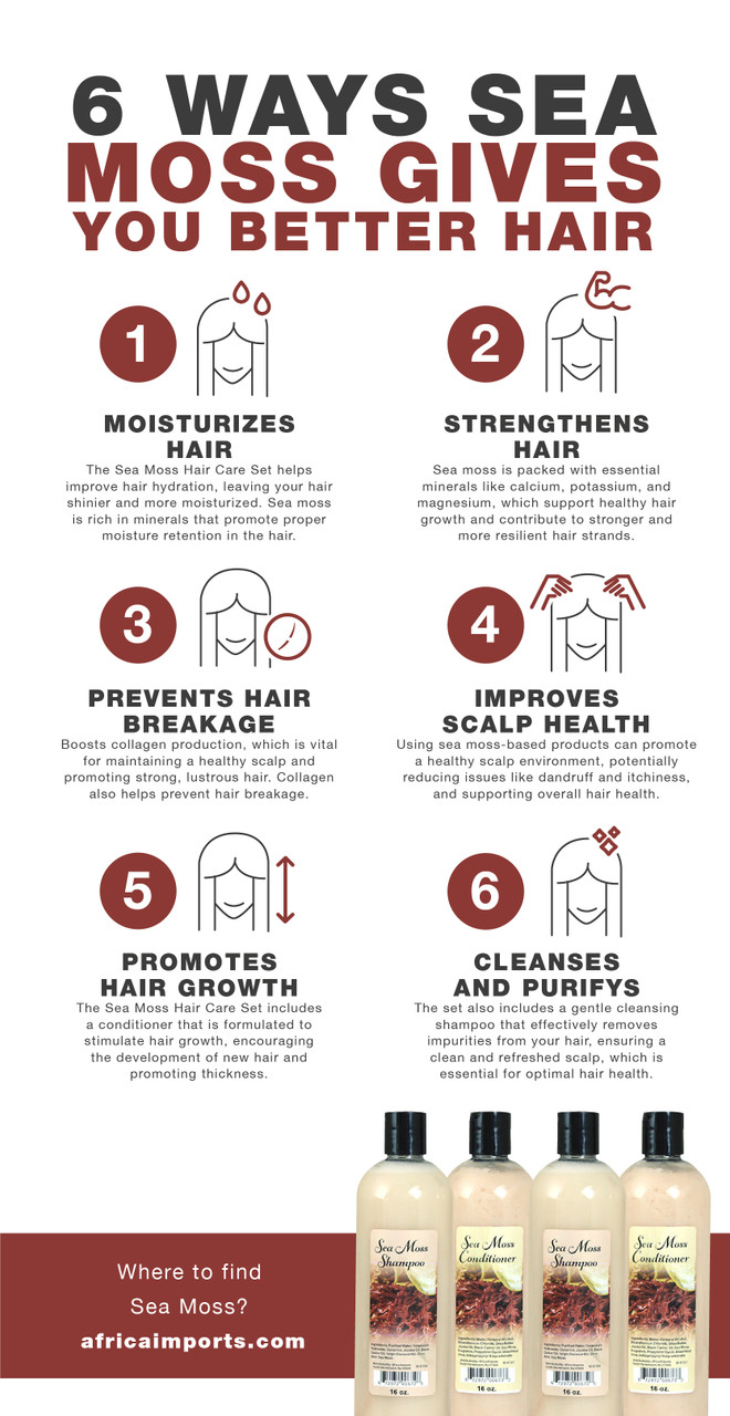 Sea Moss Hair Care Set – 16 oz | Shampoo + Conditioner | Hydrating Mineral-Rich Hair Strength & Scalp Nourishment - Image 2